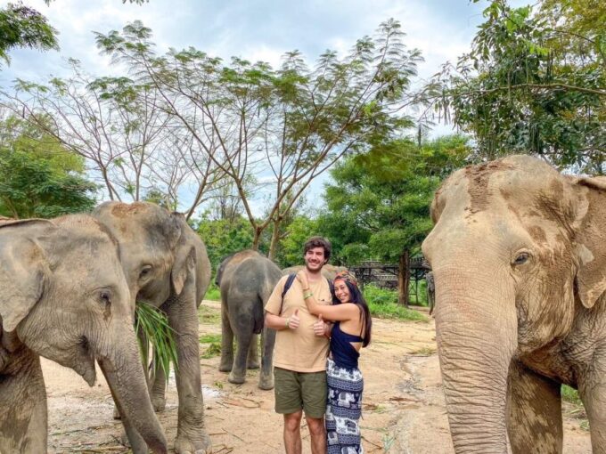 Koh Samui: Elephant Kingdom Sanctuary Half-Day Tour - Sanctuarys Commitment to Ethics