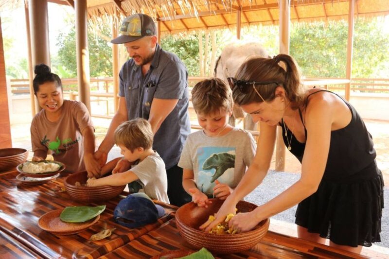 Koh Samui: Elephant Sanctuary and Jungle Tour With Lunch - Elephant Sanctuary Experience
