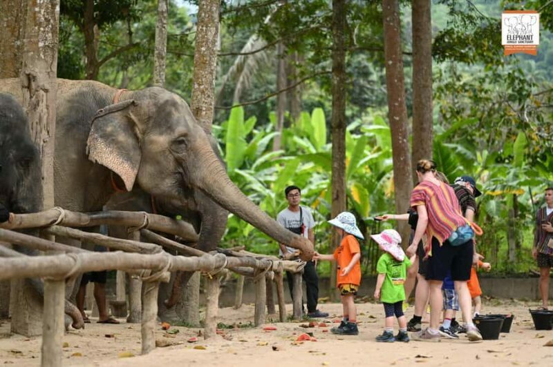 Koh Samui: Elephant Sanctuary Entry and Feeding Experience - An Authentic Encounter with Rescued Elephants