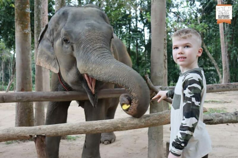 Koh Samui: Elephant Sanctuary Entry and Feeding Experience - Practical Details and Tips