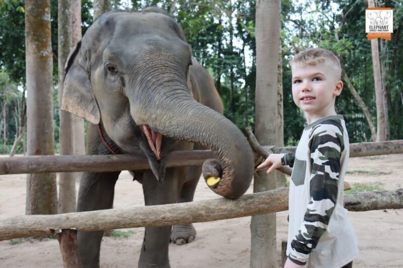 Koh Samui: Elephant Sanctuary Entry and Feeding Experience - Key Points