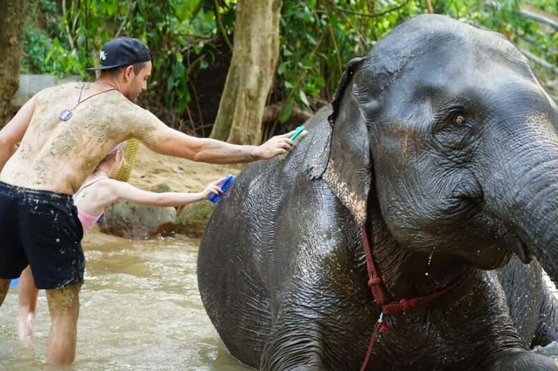 Koh Samui: Elephant Sanctuary Visit with Mud Spa & Lunch - The Reviews Speak Volumes