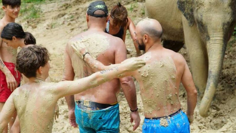 Koh Samui: Elephant Sanctuary Visit with Mud Spa & Lunch - The Sum Up: Who Is This Tour Best For?