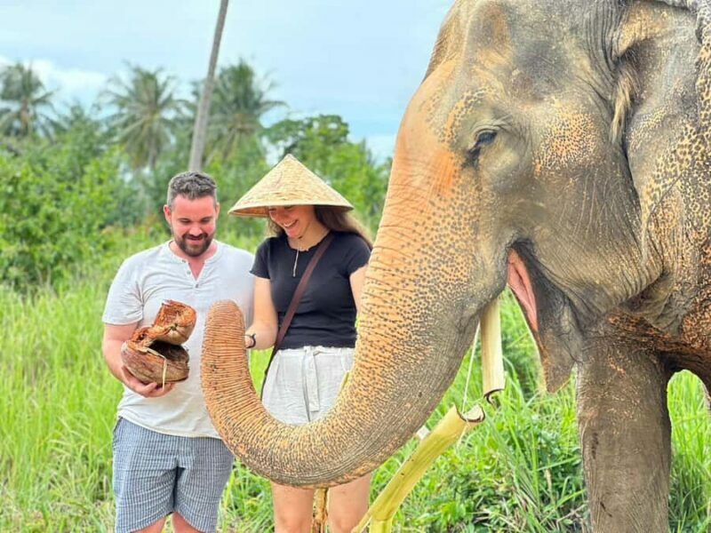 Koh Samui: Ethical Elephant Home Guided Tour with Transfers - The Experience Through the Eyes of Travelers