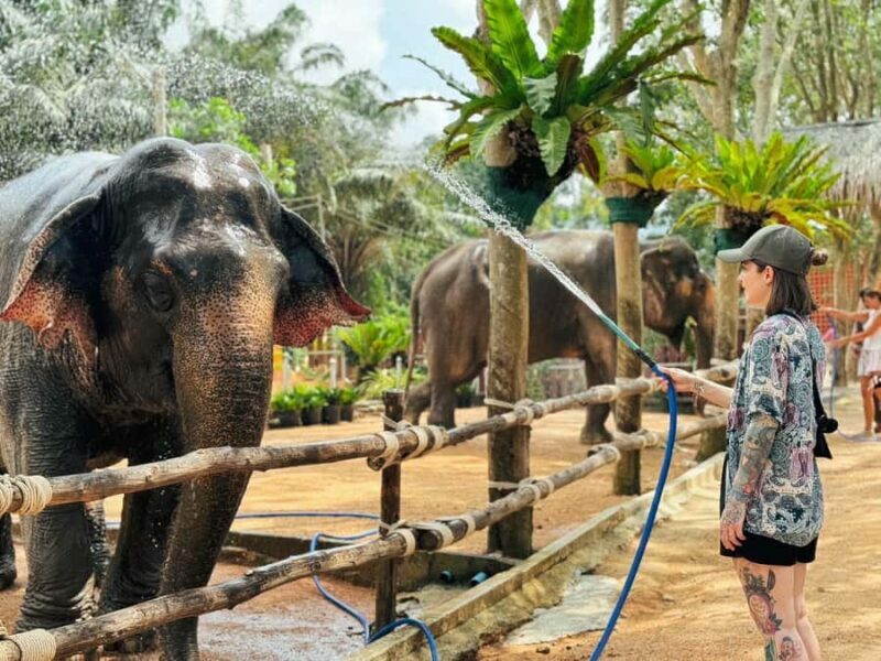 Koh Samui: Ethical Elephant Home Guided Tour with Transfers - Frequently Asked Questions