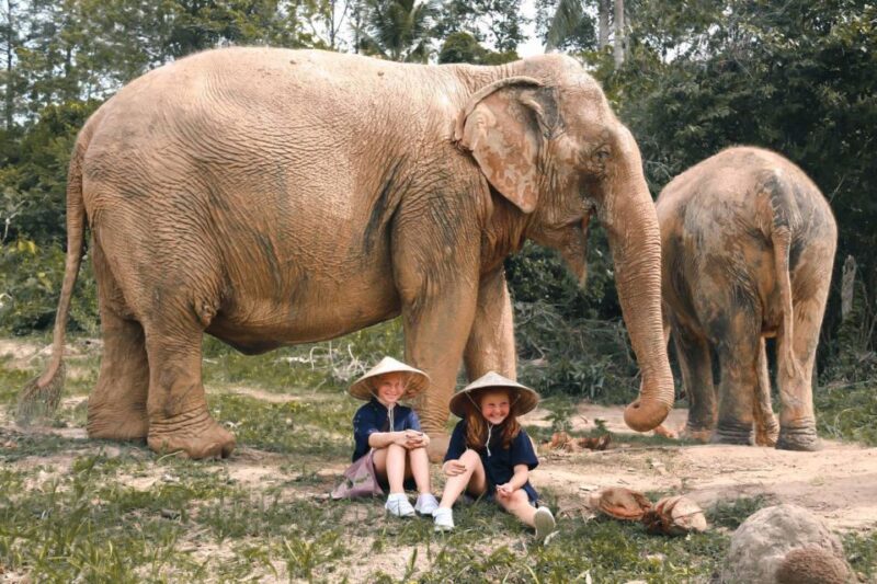 Koh Samui: Ethical Elephant Home Guided Tour With Transfers - Key Points