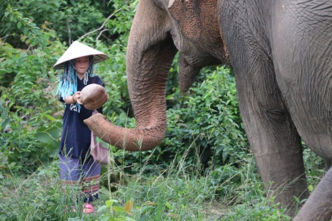 Koh Samui: Ethical Elephant Home Guided Tour With Transfers - Frequently Asked Questions