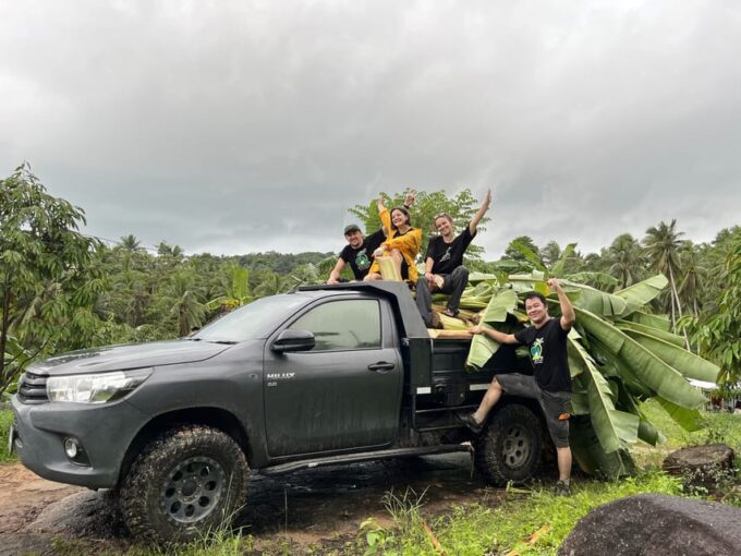 Koh Samui: Ethical Elephant Observation Half-Day Tour - Dining Experience