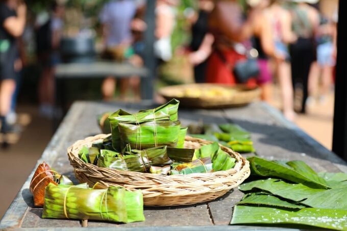 Koh Samui: Ethical Elephant Observation Half-Day Tour - Additional Information