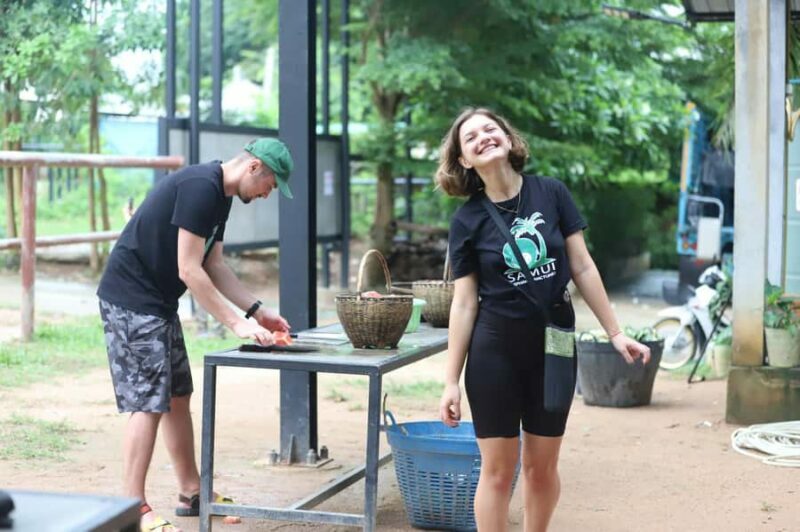 Koh Samui: Ethical Elephant Sanctuary Tour with Buffet Lunch - The Experience from Different Perspectives
