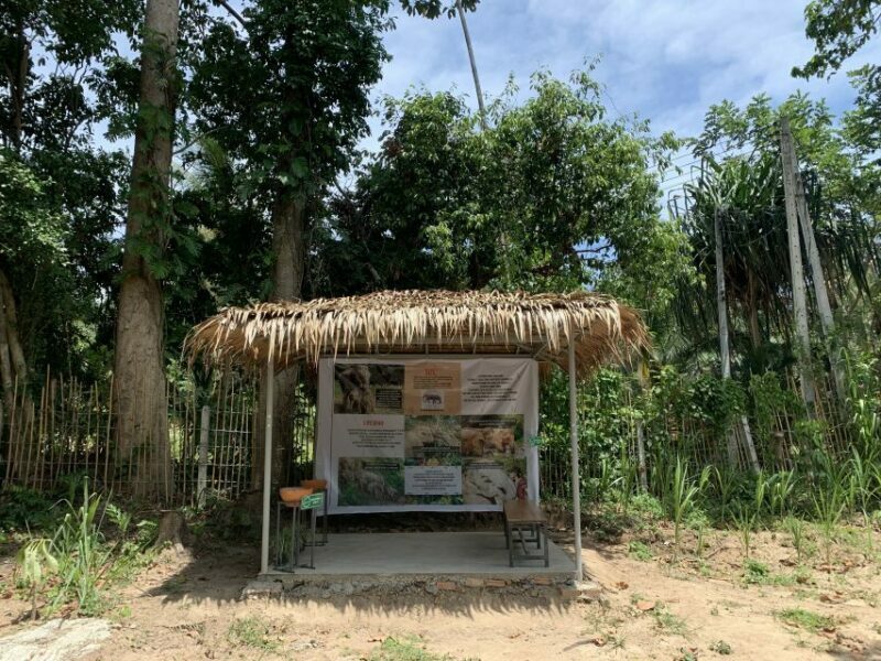 Koh Samui: Ethical Elephant Sanctuary Tour with Buffet Lunch - Who Should Consider This Tour?