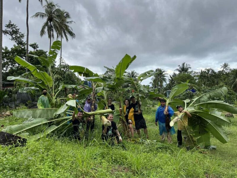 Koh Samui: Ethical Elephant Sanctuary Tour with Buffet Lunch - Final Thoughts