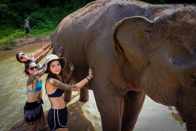 Koh Samui: Ethical Elephant Sanctuary Tour With Buffet Lunch - Customer Reviews