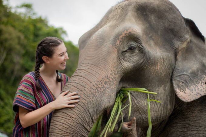 Koh Samui: Ethical Elephant Sanctuary Tour With Buffet Lunch - Additional Information