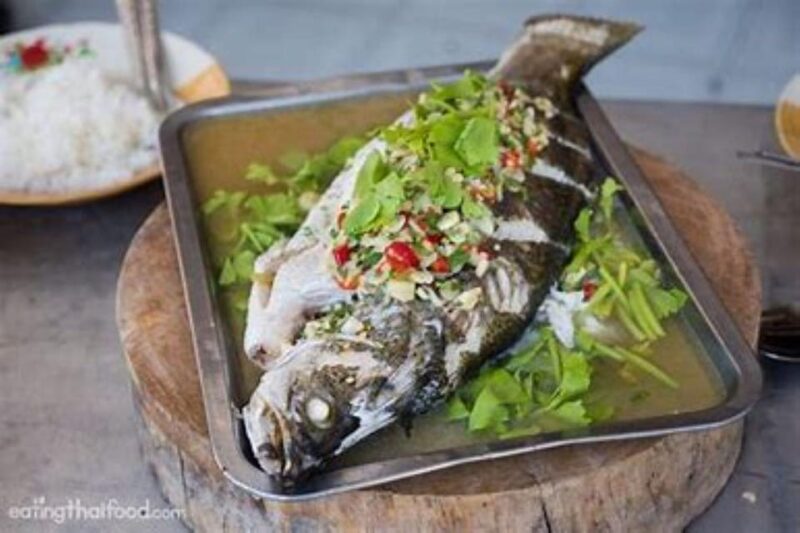 KOH SAMUI EXPERIENCE DAY FISHING - Timing