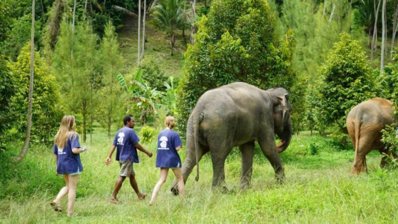 Koh Samui: Half-Day Ethical Elephant Sanctuary With Mud Spa - Booking Information