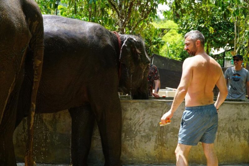 Koh Samui: Half-Day Ethical Elephant Sanctuary With Mud Spa - Experience Highlights