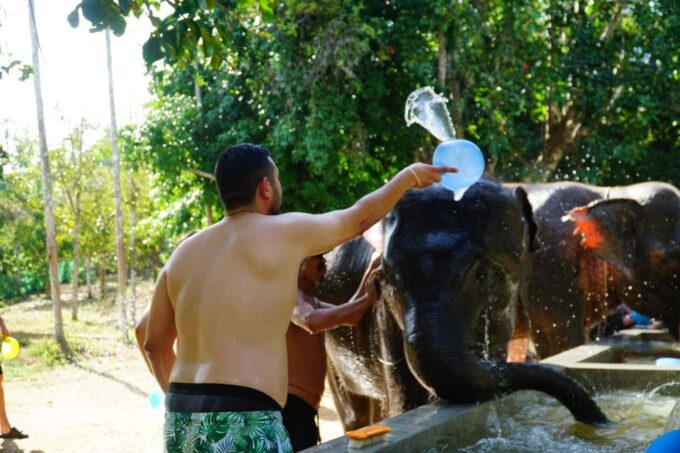 Koh Samui: Half-Day Ethical Elephant Sanctuary With Mud Spa - Elephant Residents