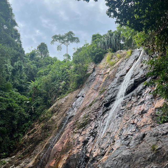 Koh Samui: Half-Day Island Highlights Tour With Hotel Pickup - Customer Feedback