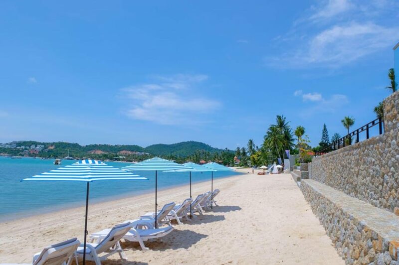 Koh Samui : Hiking ,Guided Walk and Cooking - Key Points