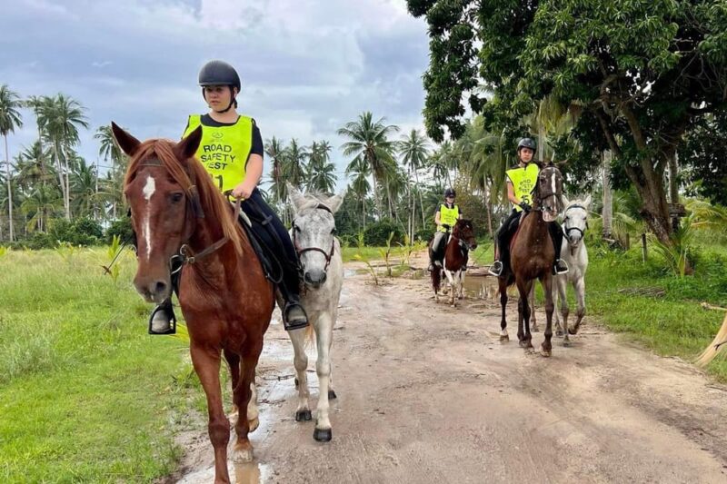 Koh Samui Horse Riding & Beach Trails - Admire Stunning Sunrise and Sunset