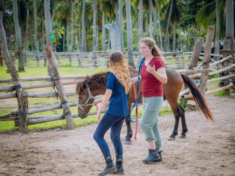 Koh Samui Horse Riding & Beach Trails - Enjoy a Unique Sea Riding Experience