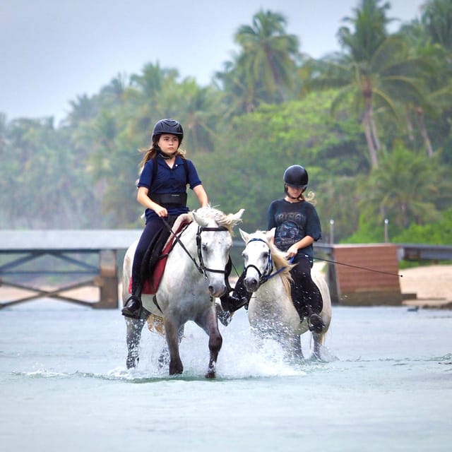 Koh Samui Horse Riding & Beach Trails - Choose From Multiple Time Slots