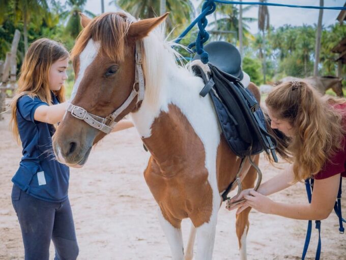 Koh Samui Horse Riding & Beach Trails - Arrive at Least 10 Minutes Early