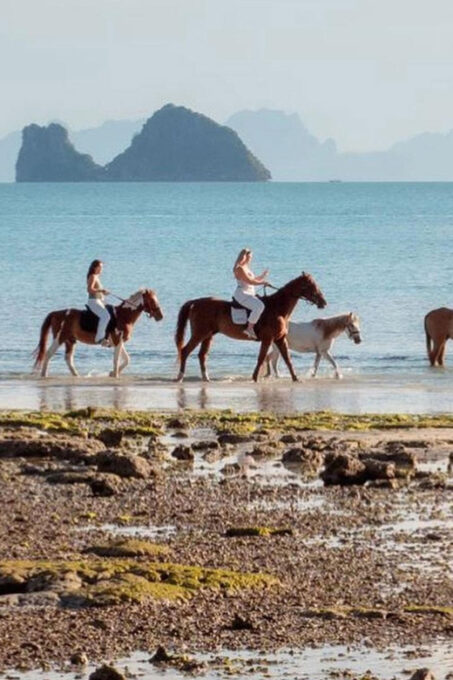 Koh Samui Horse Riding & Beach Trails - Travel by Private Car or Rental