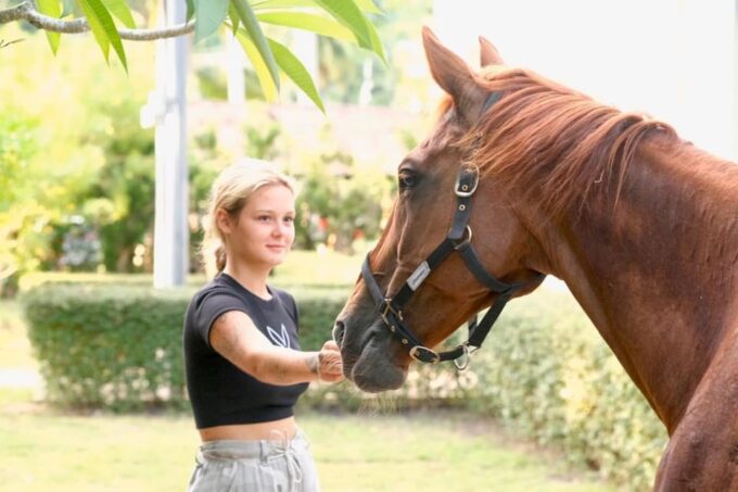 Koh Samui Horse Riding & Beach Trails - Restrictions and Requirements for Riders