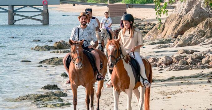 Koh Samui Horse Riding & Beach Trails - Frequently Asked Questions