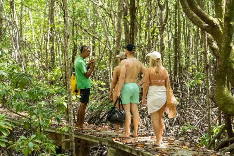 Koh Samui: Island Hopping Adventure in Coral and Pig Island - Who Will Love This Tour?