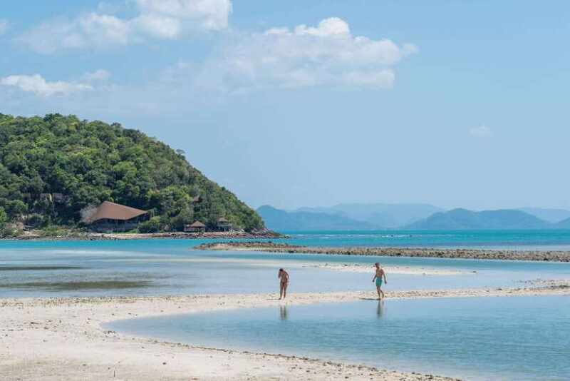 Koh Samui: Island Hopping Adventure in Coral and Pig Island - Key Points