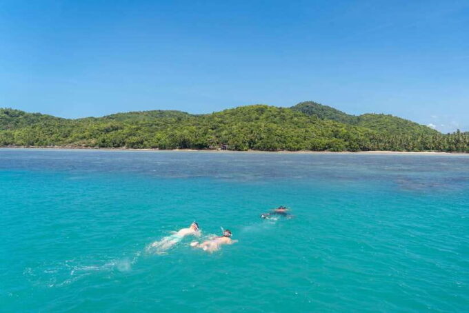 Koh Samui: Island Hopping Adventure in Coral and Pig Island - Marine Life and Snorkeling on Koh Tean