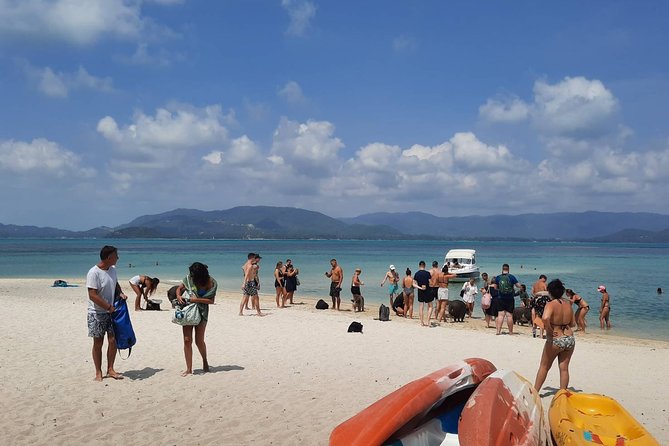 Koh Samui Islands Snorkeling Trip By Speedboat - Trip Reviews and Ratings