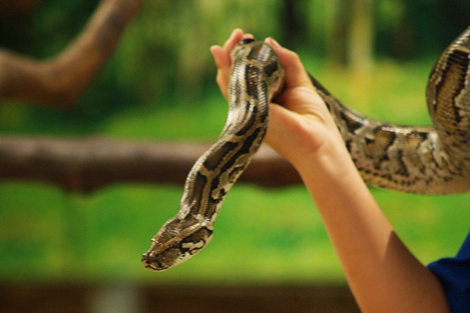 Koh Samui Jungle Safari Eco Tour (Include Lunch) - Health Restrictions