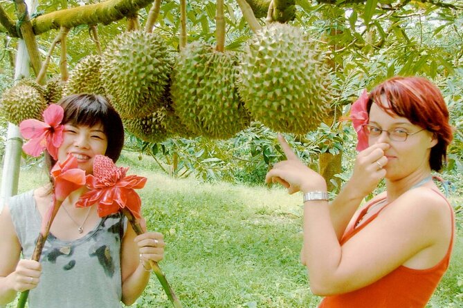 Koh Samui Jungle Safari Eco Tour (Include Lunch) - Child Policy
