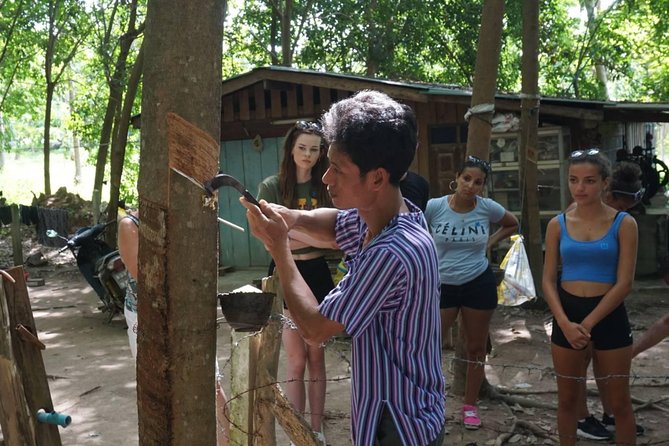 Koh Samui Jungle Safari Tour - Transportation and Meals