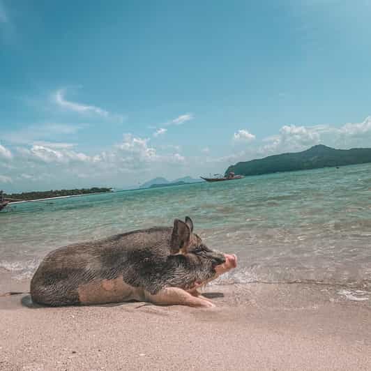 Koh Samui: Koh Madsum and Koh Tan by Private Longtail Boat. - Journey to Koh Madsum