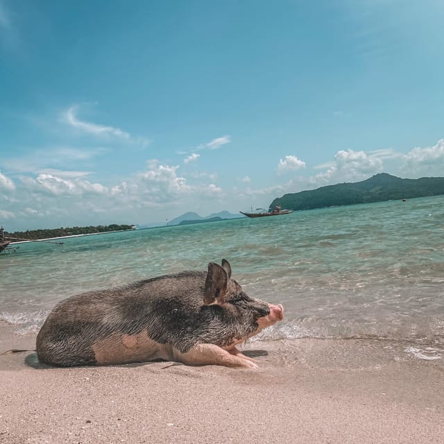 Koh Samui: Koh Madsum and Koh Tan by Private Longtail Boat. - Frequently Asked Questions