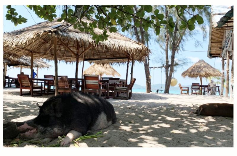 Koh Samui: Koh Madsum and Koh Tan Long Tail Boat Trip - Key Points