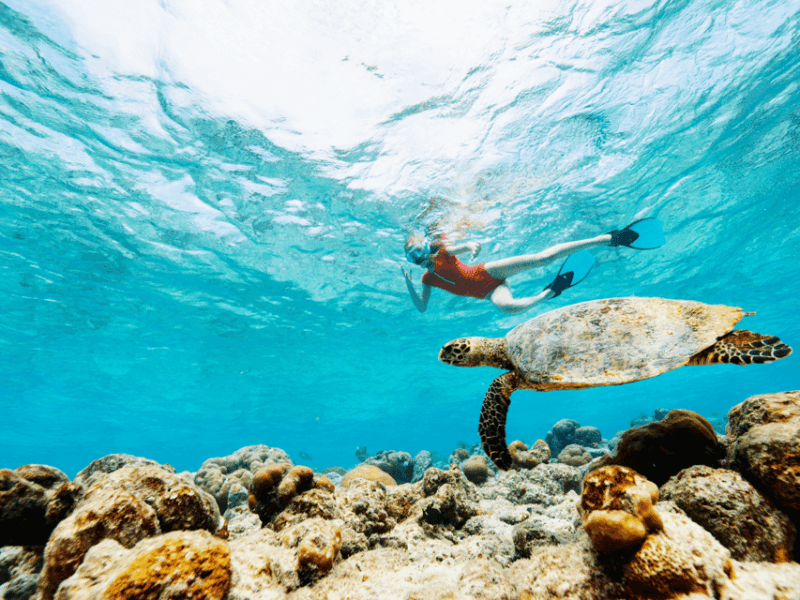 Koh Samui: Koh Tao and Nangyuan Snorkeling Tour by Catamaran - Secluded Beaches and Picturesque Landscapes