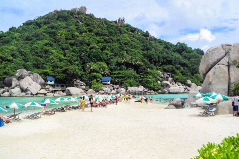 Koh Samui: Koh Tao and Nangyuan Snorkeling Tour With Lunch - Key Points