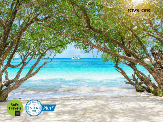 Koh Samui, Koh Tao & Koh Nang Yuan Day Tour by Speedboat - Van Transfer to Koh Samui