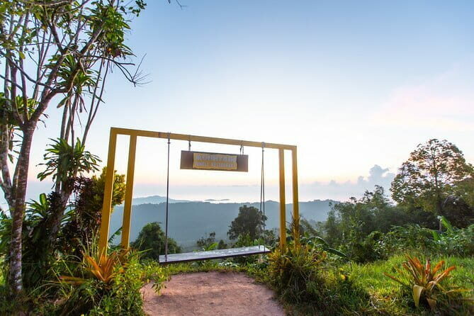Koh Samui Off Road Jungle Tour - Authentic Experiences & Genuine Value