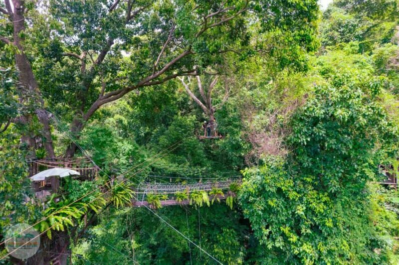 Koh Samui: Option ATV or Zipline or Combo Adventure+Transfer - An In-Depth Look at Koh Samui’s Adventure Tour