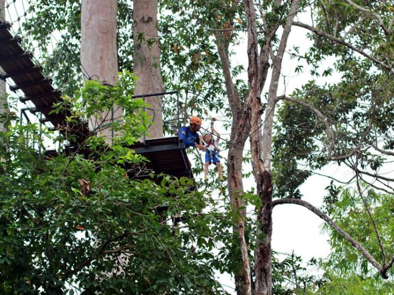Koh Samui: Panoramic Zipline Experience at Samui Zipline - Panoramic Jungle Views