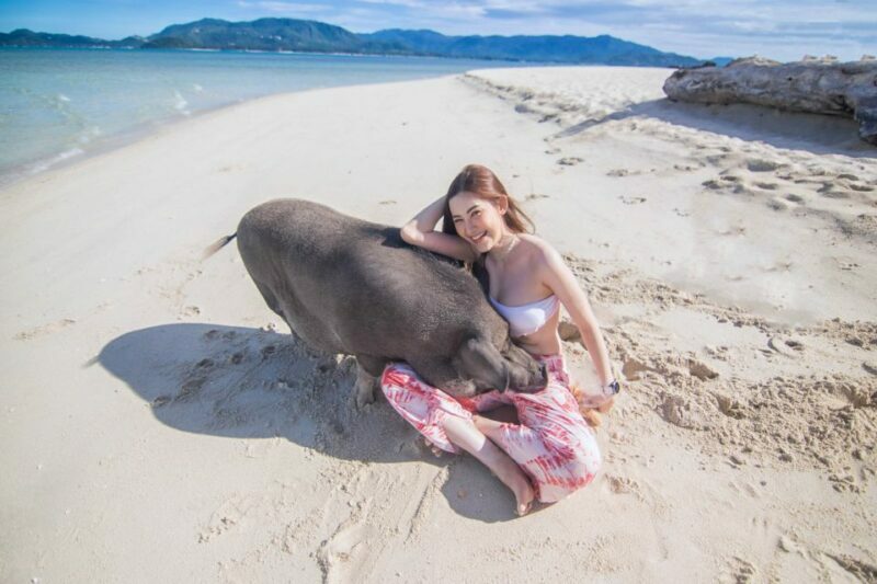 Koh Samui: Pig Island & Koh Tan Snorkeling by Speed boat - Frequently Asked Questions