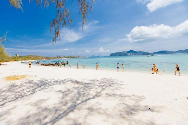 Koh Samui: Pig Island Private Longtail Boat Tour - Key Points