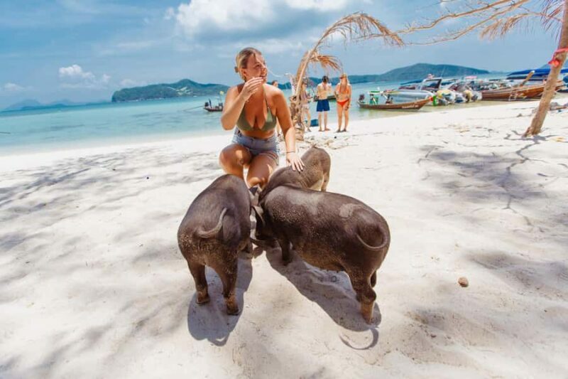 Koh Samui: Pig Island Private Longtail Boat Tour - The Experience in Detail